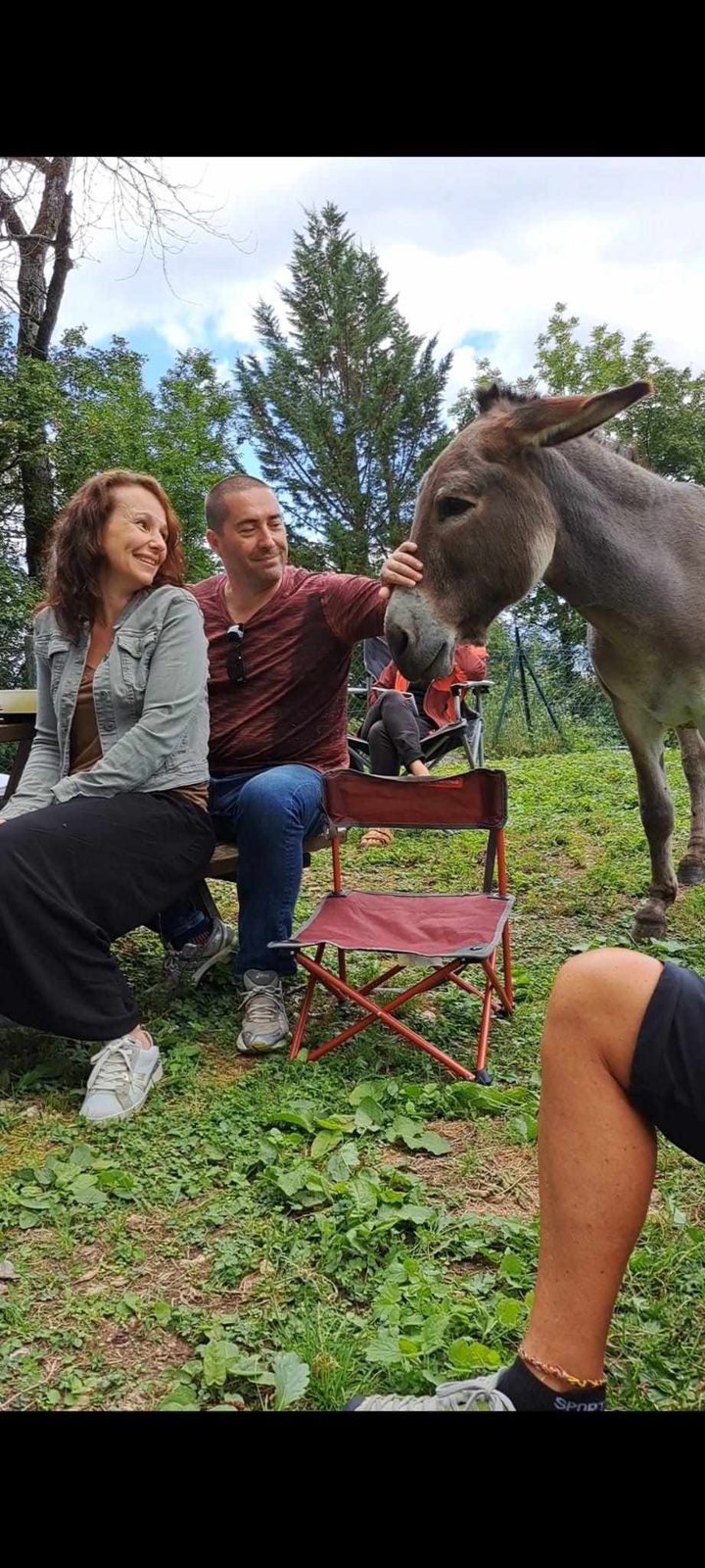 Moment avec un âne