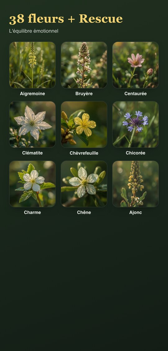 Flowercoon — aperçu de l'application